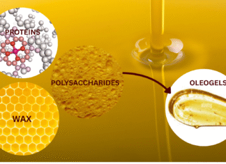Oleogels: An innovative solution to get rid of saturated and trans fat oleogels