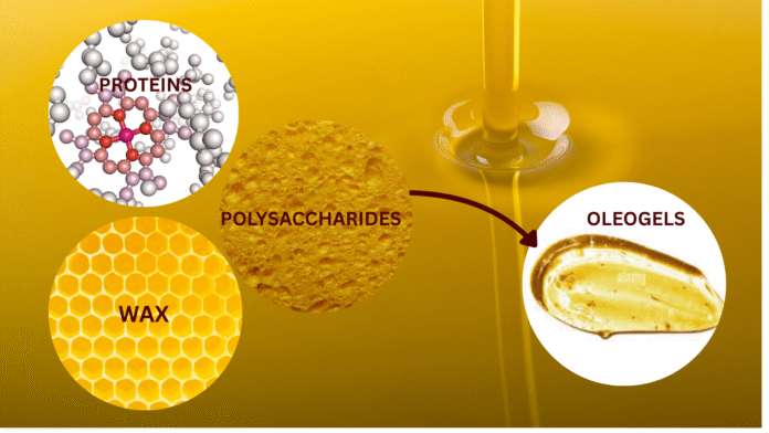 oleogels
