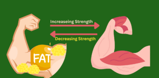 Why Bigger Muscles Don’t Mean Better Strength: The Truth about Obesity and Muscle Quality Obesity-muscle