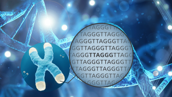 telomeres-featured-pic