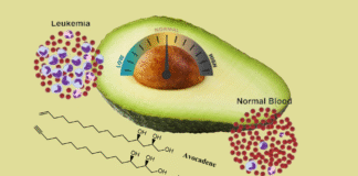 Avocatin in Avocados: Nature’s Medicine for Counteracting Diabetes and Leukemia avocatin-in-avocados