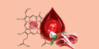 Iron: An Element of Concern for Vegetarians iron-deficiency