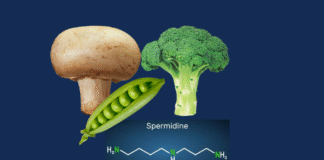 Spermidine in Green Peas, broccoli and mushrooms spermidine-pic