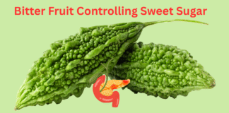 How the Novel Polypeptide in Bitter Gourd Controls Sweet Sugar in Blood and Delays Diabetes Type 3 bitter-gourd