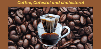 Coffee, Cafestol and Cholesterol cofee-cafestol-and-cholesterol