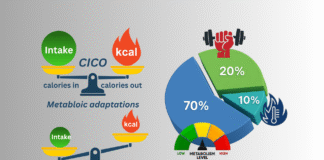Success in Weight Loss beyond the Basic Principle of “Calories In, Calories Out” thermic-effect