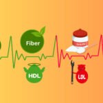 diet-and-cholesterol
