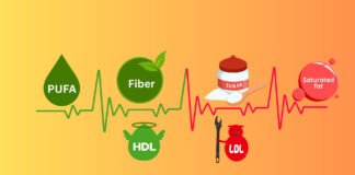 Diet, Dietary Cholesterol and Blood Cholesterol diet-and-cholesterol