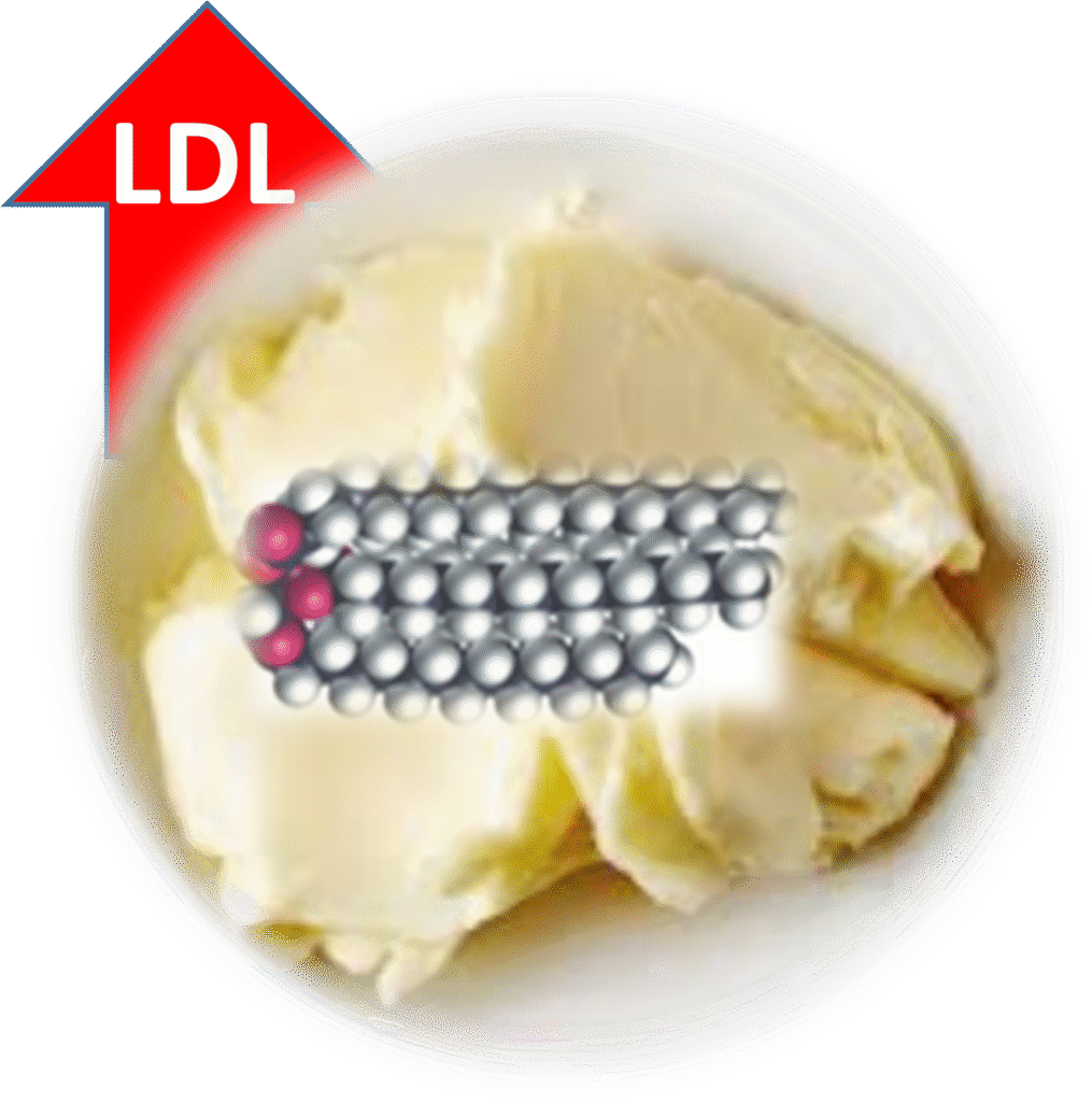 Diet, Dietary Cholesterol and Blood Cholesterol 2 ldl-cholestrol