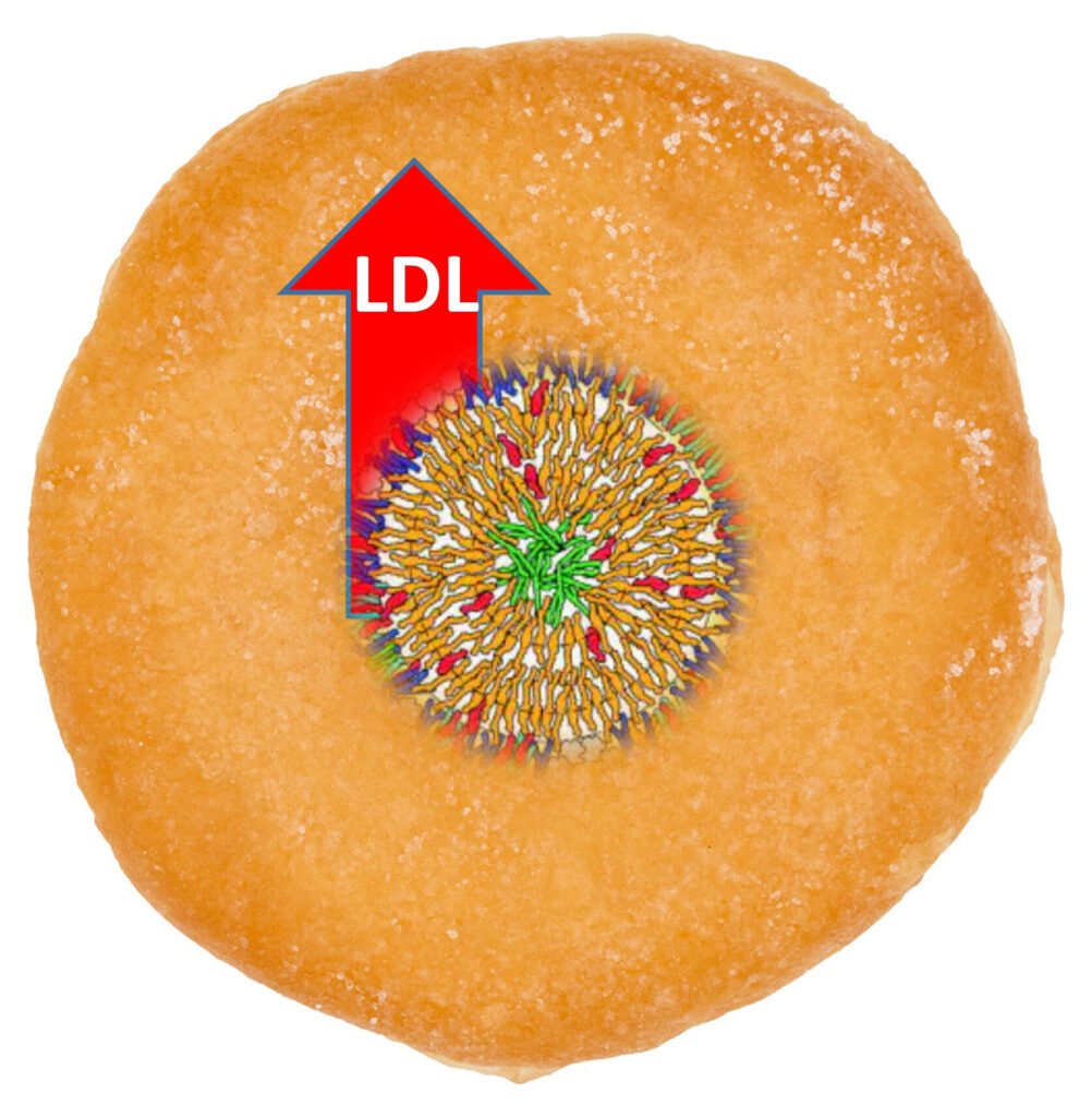 Diet, Dietary Cholesterol and Blood Cholesterol 3 ldl-fiber
