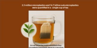 Tea, Tea Bags, Microplastics and Bone Health tea-microplastics